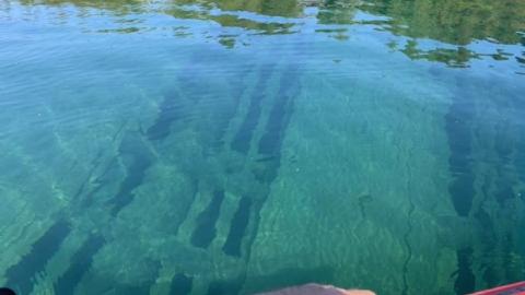 Tobermory  - 8A67D75E-A228-4220-BACC-4FDAFB517A7B.jpeg