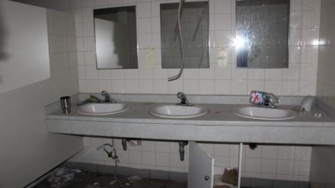 [Dickson Bowl] Thyme - IMG_0773.jpg