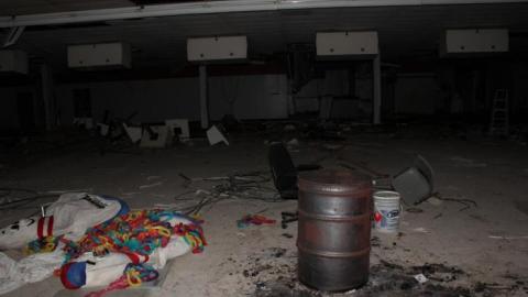 [Dickson Bowl] Thyme - IMG_0786.jpg