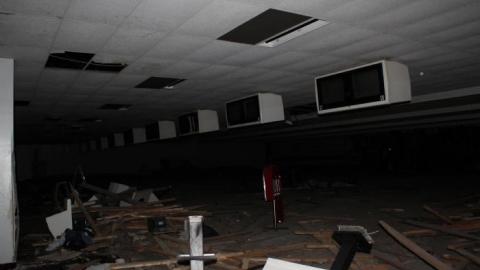 [Dickson Bowl] Thyme - IMG_0788.jpg