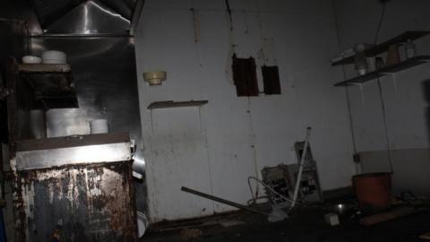 [Dickson Bowl] Thyme - IMG_0807.jpg