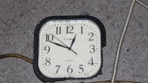 [Dickson Bowl] Thyme - IMG_0809.jpg