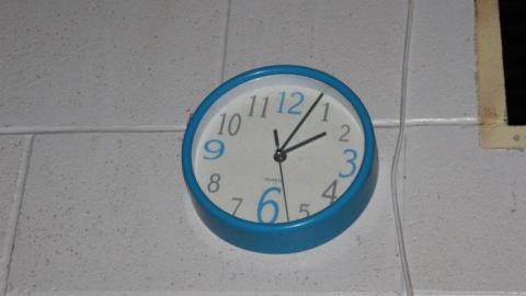 [Dickson Bowl] Thyme - IMG_0810.jpg