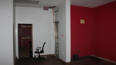 [Dickson Bowl] Thyme - IMG_0811.jpg