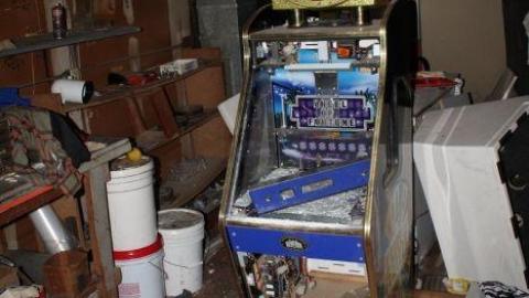 [Dickson Bowl] Thyme - IMG_0828.jpg