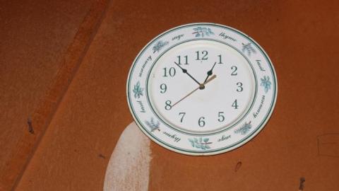 [Dickson Bowl] Thyme - IMG_0829.jpg