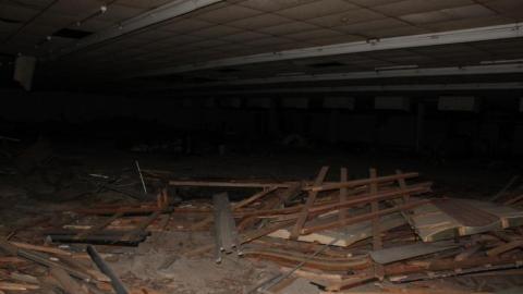 [Dickson Bowl] Thyme - IMG_0832.jpg