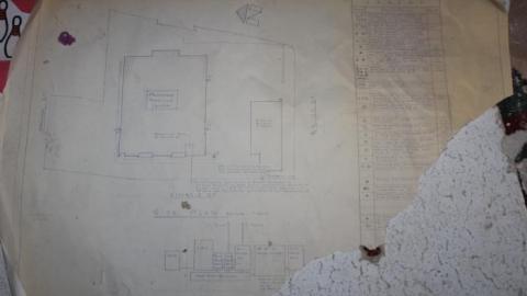 [Dickson Bowl] Thyme - IMG_0839.jpg