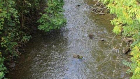 Dont Regret The Ticket ONE BIT - IMG_9170.jpg