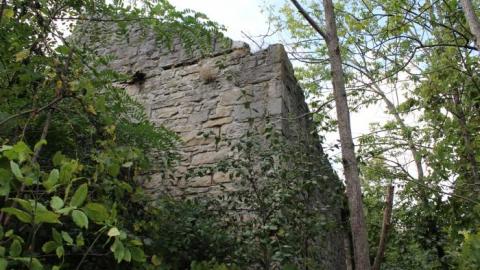 Dont Regret The Ticket ONE BIT - IMG_9174.jpg