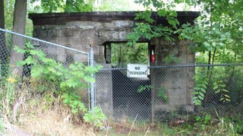 Dont Regret The Ticket ONE BIT - IMG_9180.jpg