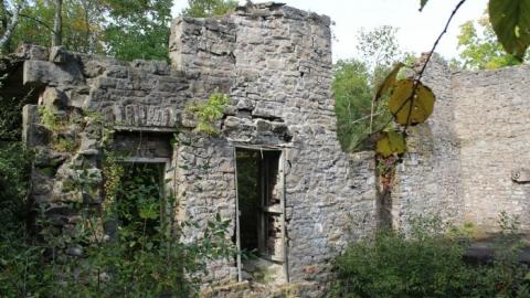 Dont Regret The Ticket ONE BIT - IMG_9182.jpg