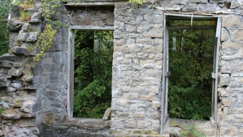 Dont Regret The Ticket ONE BIT - IMG_9184.jpg