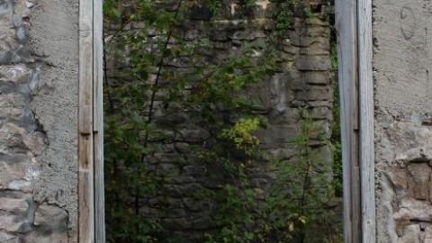 Dont Regret The Ticket ONE BIT - IMG_9186.jpg