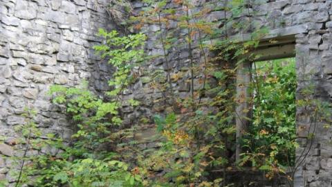 Dont Regret The Ticket ONE BIT - IMG_9189.jpg