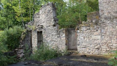 Dont Regret The Ticket ONE BIT - IMG_9195.jpg