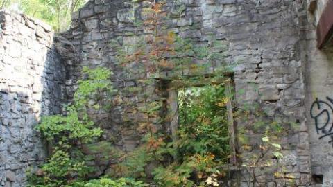 Dont Regret The Ticket ONE BIT - IMG_9201.jpg