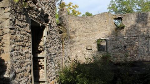 Dont Regret The Ticket ONE BIT - IMG_9207.jpg