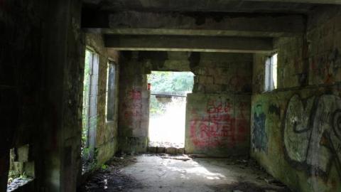 Dont Regret The Ticket ONE BIT - IMG_9208.jpg