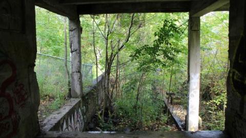 Dont Regret The Ticket ONE BIT - IMG_9210.jpg