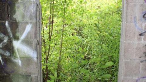 Dont Regret The Ticket ONE BIT - IMG_9213.jpg