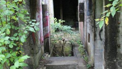 Dont Regret The Ticket ONE BIT - IMG_9222.jpg