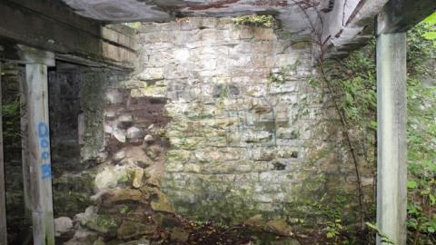 Dont Regret The Ticket ONE BIT - IMG_9230.jpg