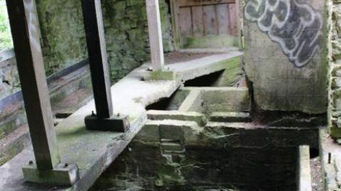 Dont Regret The Ticket ONE BIT - IMG_9241.jpg