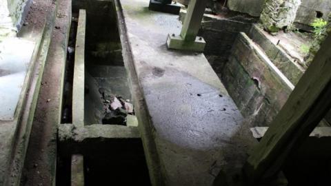 Dont Regret The Ticket ONE BIT - IMG_9246.jpg