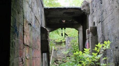 Dont Regret The Ticket ONE BIT - IMG_9253.jpg