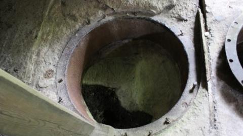 Dont Regret The Ticket ONE BIT - IMG_9260.jpg