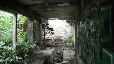 Dont Regret The Ticket ONE BIT - IMG_9271.jpg