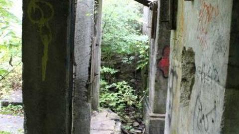 Dont Regret The Ticket ONE BIT - IMG_9272.jpg