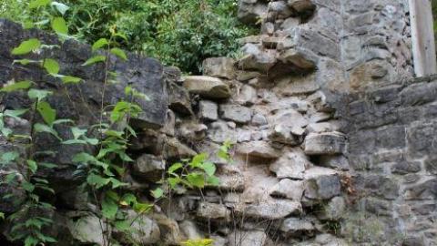 Dont Regret The Ticket ONE BIT - IMG_9274.jpg