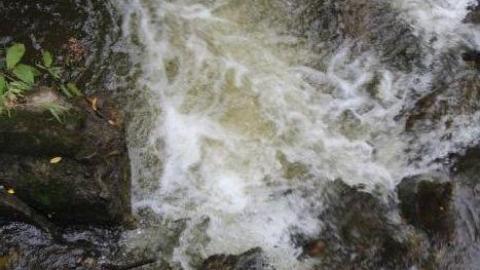 Dont Regret The Ticket ONE BIT - IMG_9275.jpg