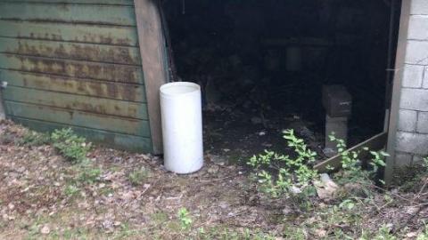 Pine Springs School photo 3