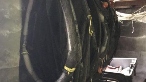 Photo from Old School new school 1