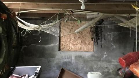 Old School new school 2 - IMG_5021.jpg