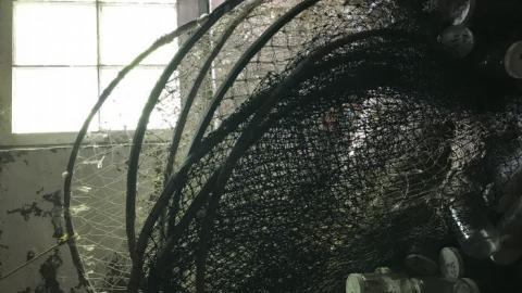 Photo from Old School new school 2