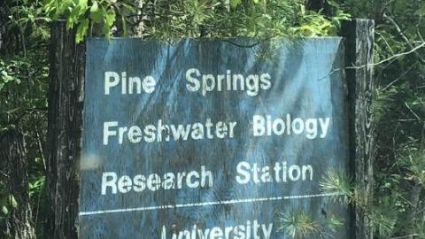 Photo from Old School new school 2