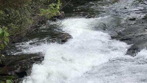 Old School new school 2 - IMG_5027.jpg