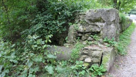 Photo from While Geocaching