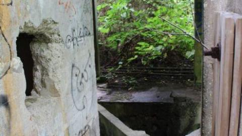 Dont Regret The Ticket ONE BIT - IMG_9228.jpg