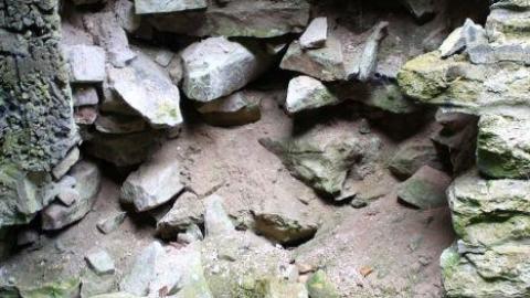 Dont Regret The Ticket ONE BIT - IMG_9232.jpg