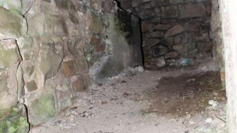 Dont Regret The Ticket ONE BIT - IMG_9233.jpg