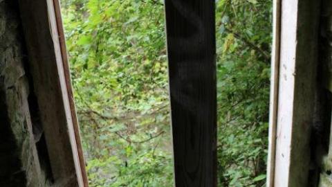 Dont Regret The Ticket ONE BIT - IMG_9247.jpg