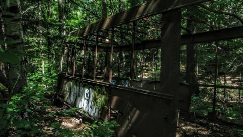 TTC 2020 - 20200628224719_IMG_2897-01.jpeg