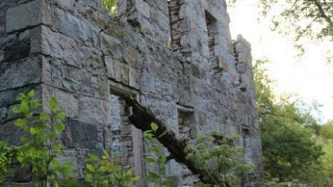 Passing Tress On Public Paths - IMG_9839.jpg