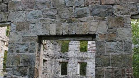 Photo from Passing Tress On Public Paths