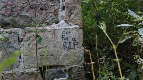 Passing Tress On Public Paths - IMG_9841.jpg